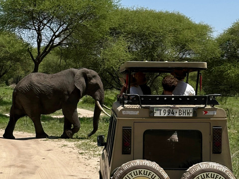 Utukufu Travels and Adventures-阿鲁沙必去景点