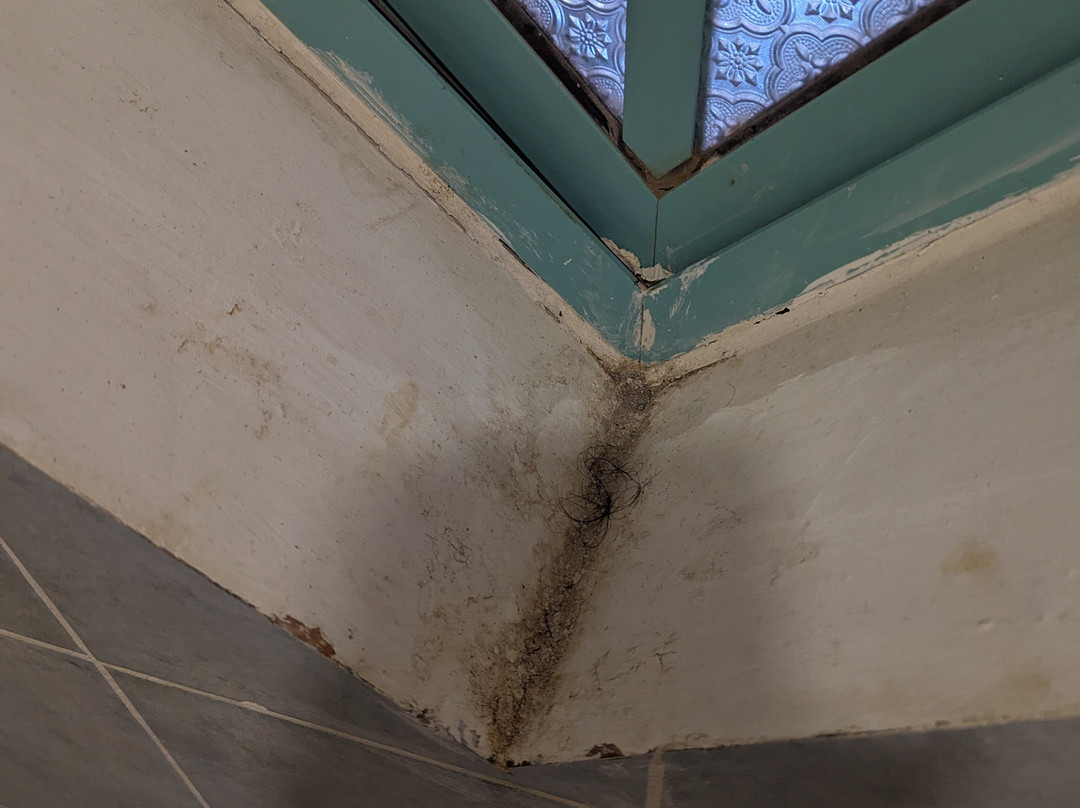 蔓达·罗森酒店主图