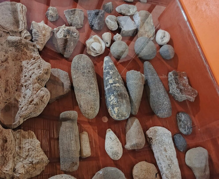 Agua Blanca-Machalilla National Park必去景点