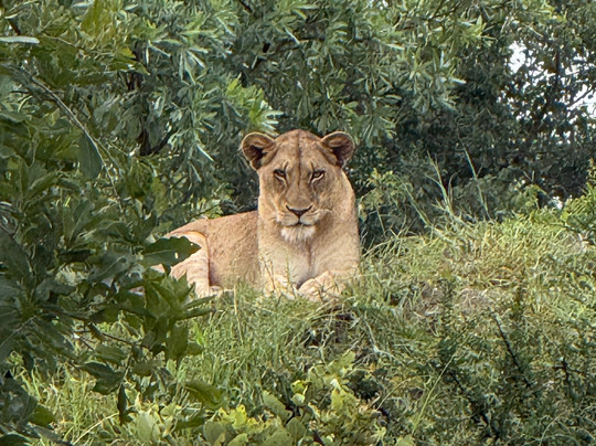 SAFARI.COM-开普敦中心区必去景点