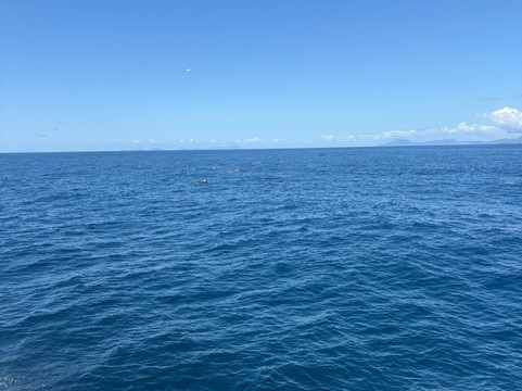 Perfect Day Ocean Cruise-Tutukaka必去景点
