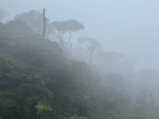 Nipuna Knuckles Trekking-康提必去景点