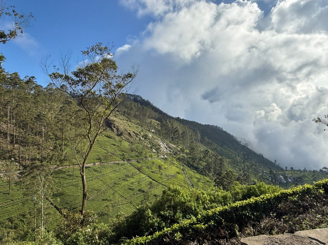 H.O.T Tourism-科伦坡必去景点