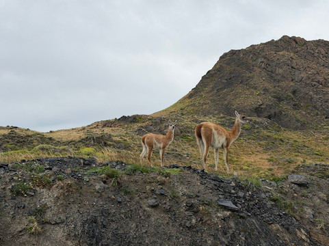 Quasar Expeditions - Patagonia Luxury Tours & Travel-Torres del Paine必去景点