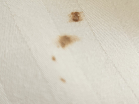 Blue Lantern Inn主图