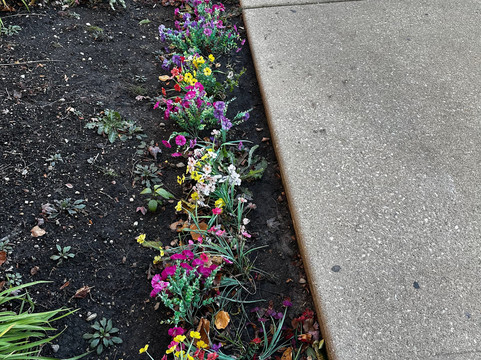 凯悦嘉轩芝加哥伦巴德橡树溪酒店主图