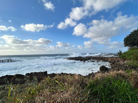 Shark's Cove-哈雷瓦必去景点