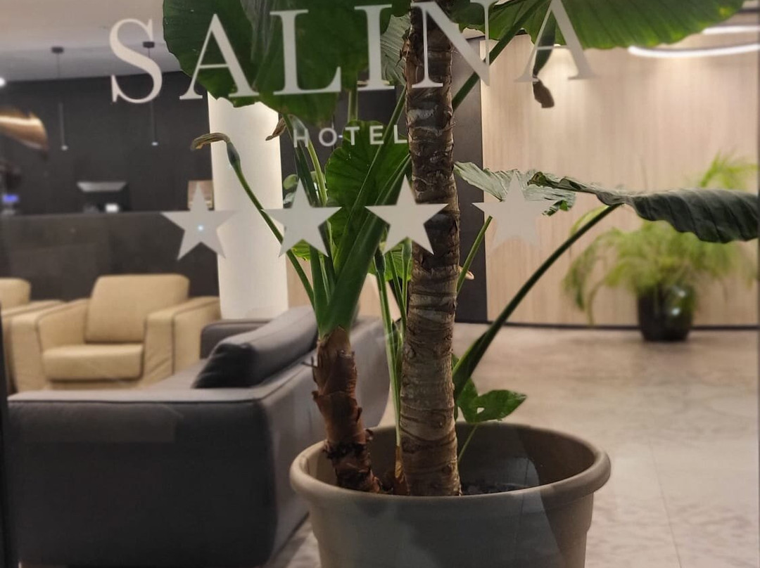 萨利纳酒店主图