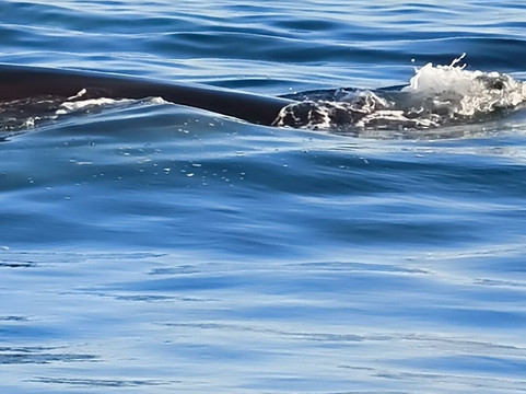 La Mar Ciencia-Chanaral de Aceituno必去景点