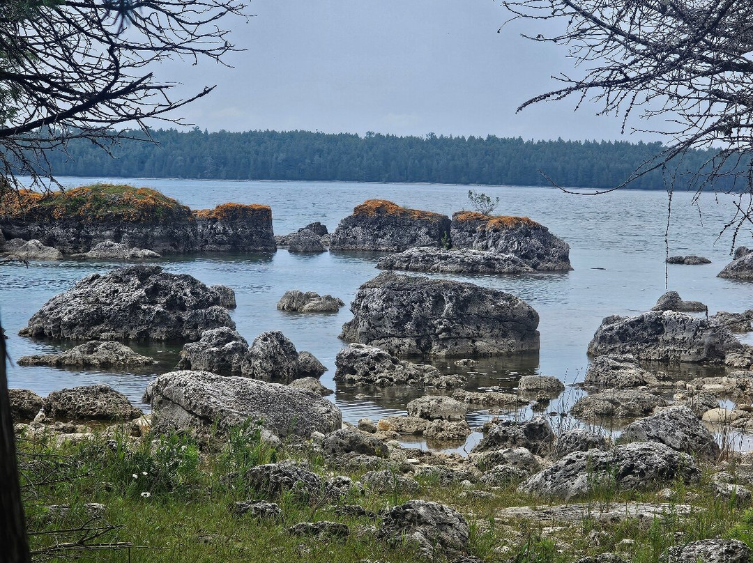 Bush Bay Trail Narnia Trail-Cedarville必去景点