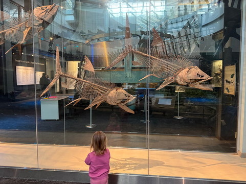 卡内基自然历史博物馆-匹兹堡必去景点