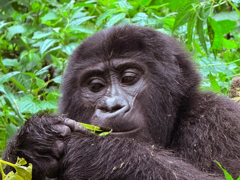 Uganda Adventure Safaris-坎帕拉必去景点