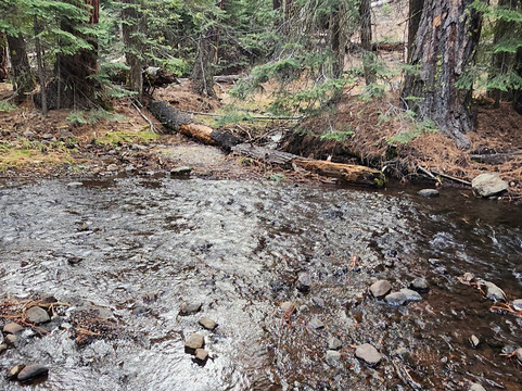 Super 8 by Wyndham Alturas主图