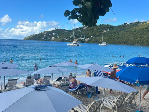 Waypoints Yacht Charters USVI-Frenchtown必去景点