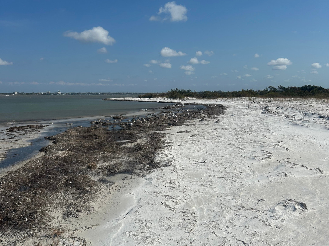 Captain Clearwater-Belleair Bluffs必去景点