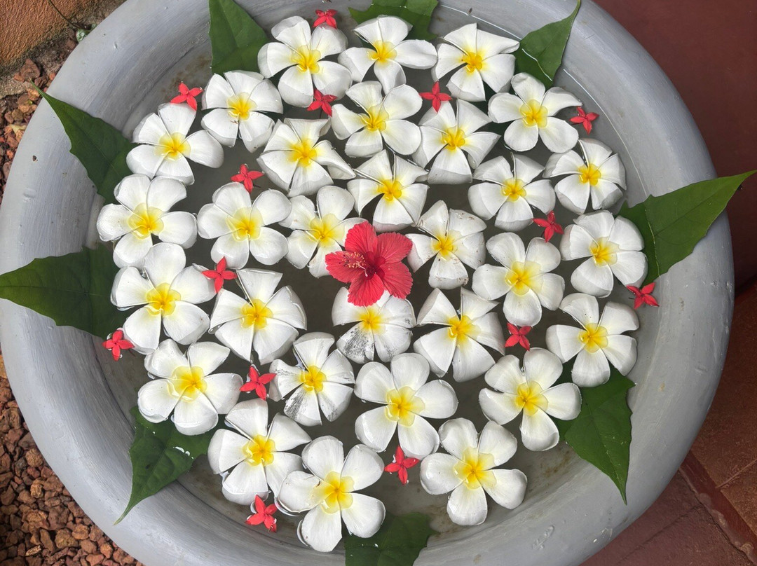 斯蒂哈尔帕阿育吠陀度假村 - 餐点全包/阿育吠陀疗法/瑜珈主图