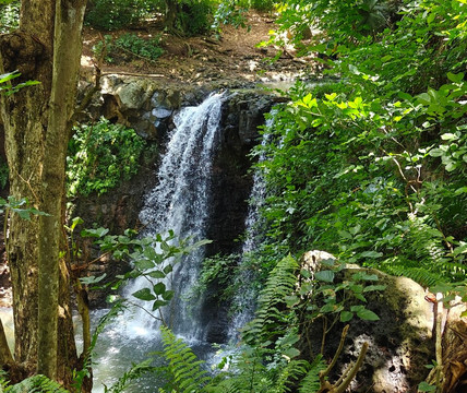 Enfants Nature Mauritius-Black River必去景点