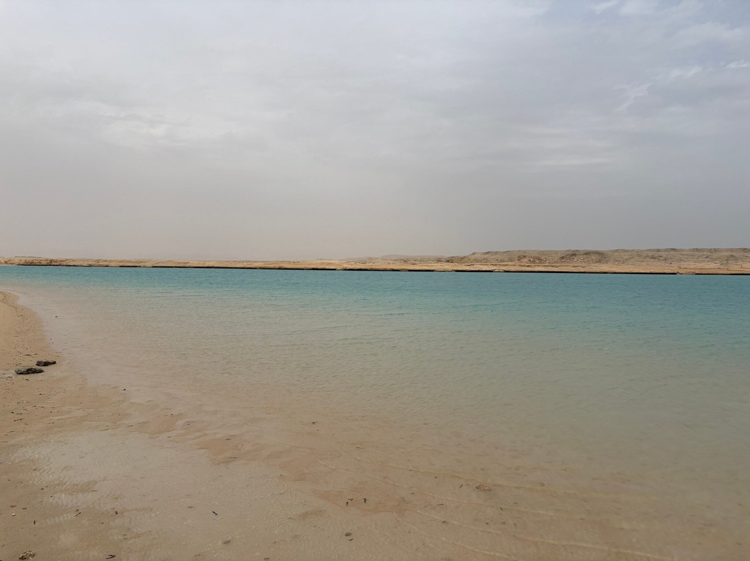 NASS TOURS - Sharm El Sheikh-沙姆沙伊赫必去景点