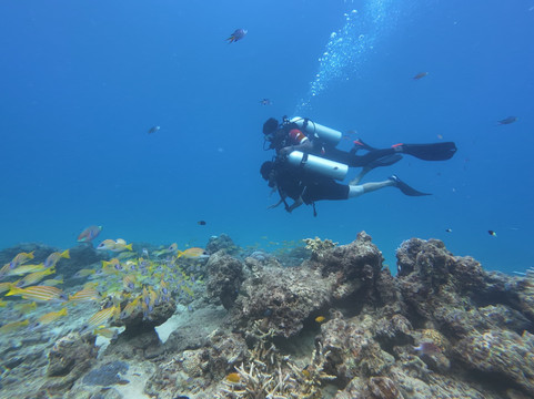 Turquoise Dream-Neil Island必去景点