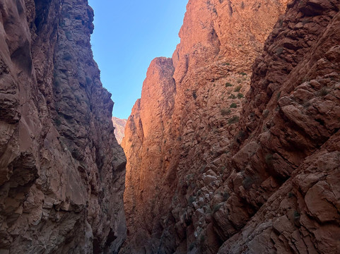 Marrakech Camel Trips-非斯必去景点