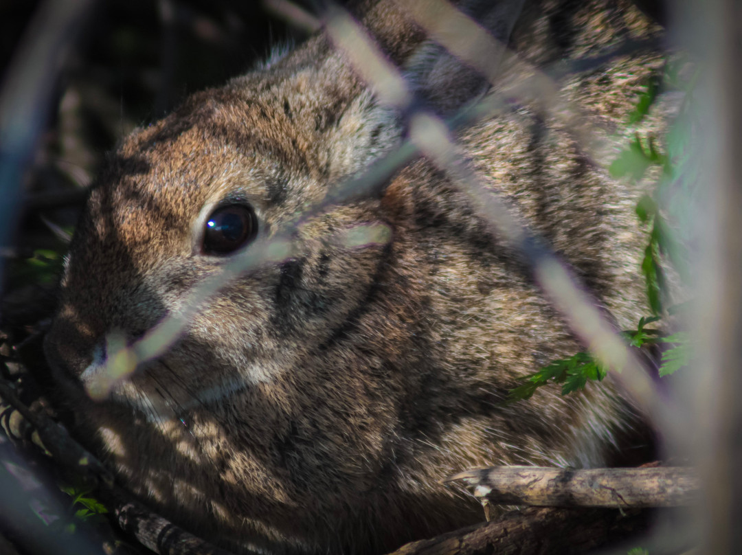 默塞德国家野生动物保护区-默塞德必去景点