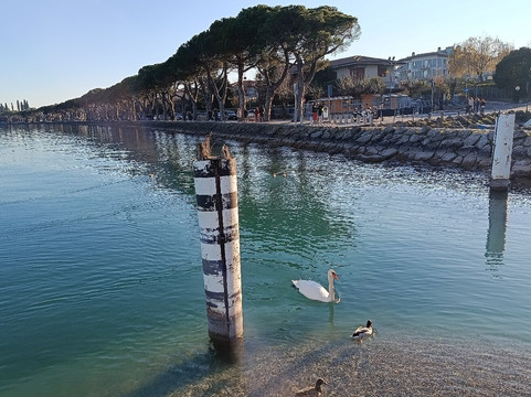 Lungolago Mazzini-佩斯基耶拉德尔加尔达必去景点