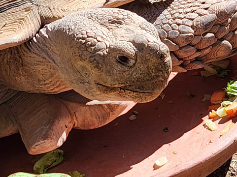 Southwest Wildlife Conservation Center-斯科茨代尔必去景点