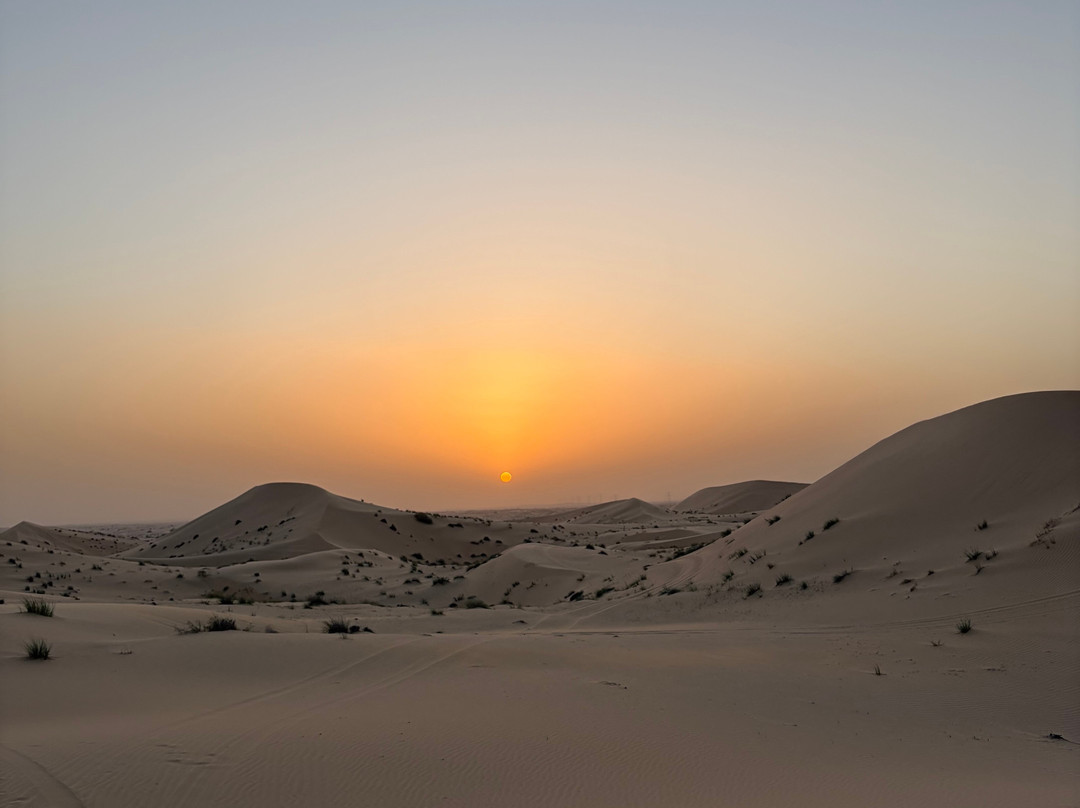Royal Desert Tourism LLC-阿布扎比必去景点