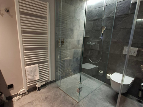 Emser ThermenHotel主图