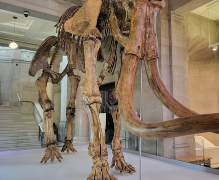 National Museum Cardiff-卡迪夫必去景点