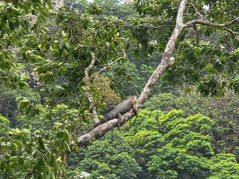 幸运巴格住宿加早餐旅馆主图