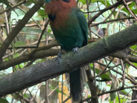 Eco Termales-克波斯必去景点