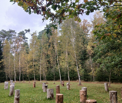 Kunststätte Bossard-Jesteburg必去景点