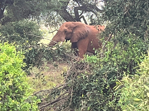 Aqua Paradise Safaris Day Tours-乌库达必去景点