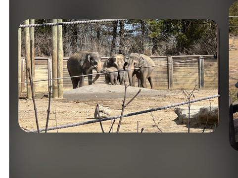 哥伦布动物园-Powell必去景点