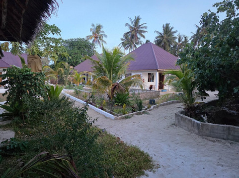 Fun Divers Zanzibar-奔巴岛必去景点