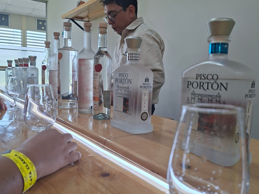 酒店和Hacienda La Caravedo农场主图