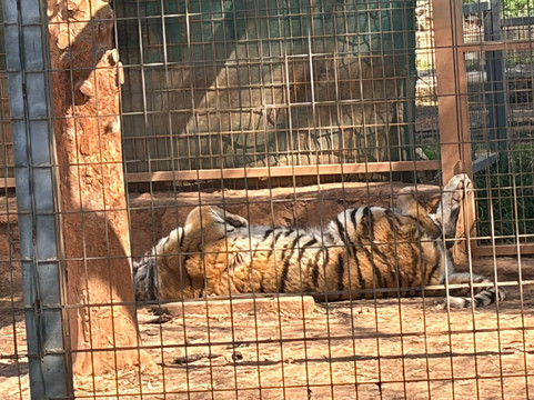 Pafos Zoo-帕福斯必去景点