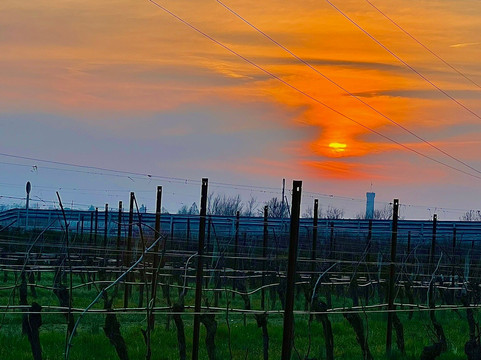 Tenuta Roveglia-Pozzolengo必去景点