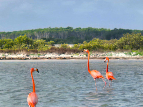 Hotel Punta Ponto酒店主图