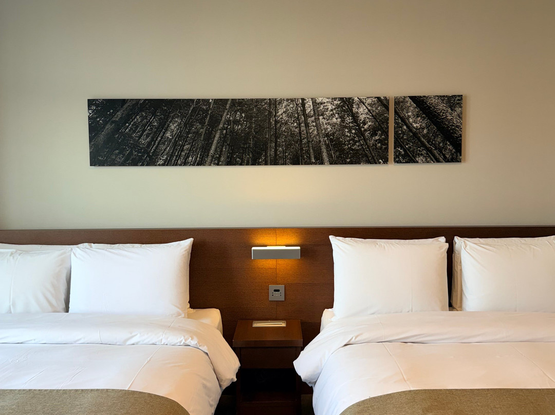 布卢姆维斯塔酒店主图