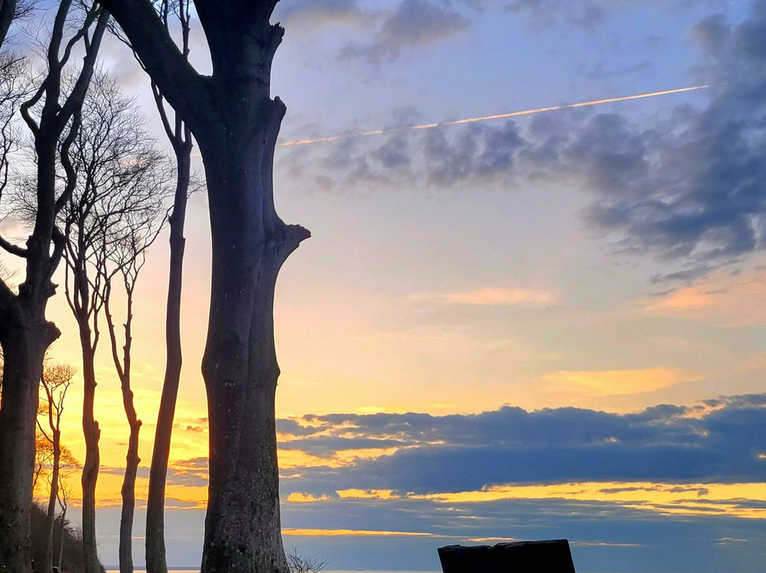 Gespensterwald-Nienhagen必去景点