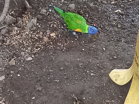 West Midlands Safari Park-Bewdley必去景点