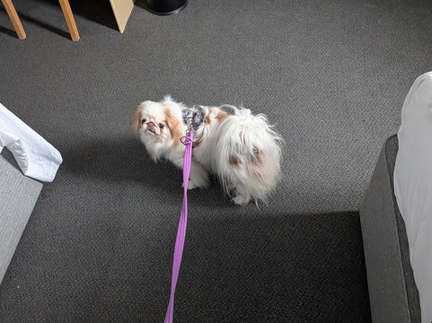 沃维克南M40温德姆戴斯酒店主图