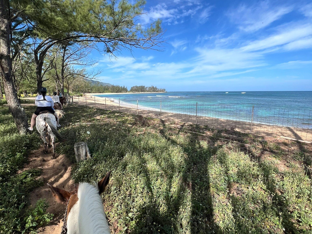 Hawaii Polo Trail Rides-瓦亚禄必去景点