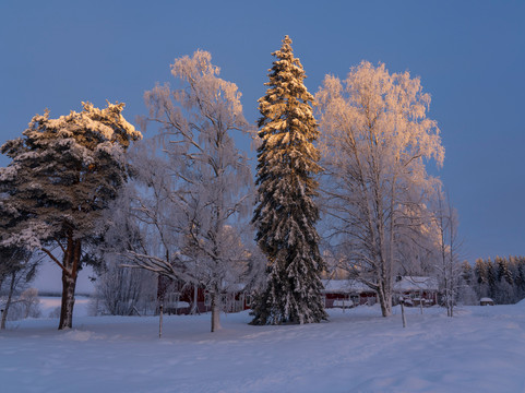 Blueberry Lodge Tours and Activities-Overkalix必去景点
