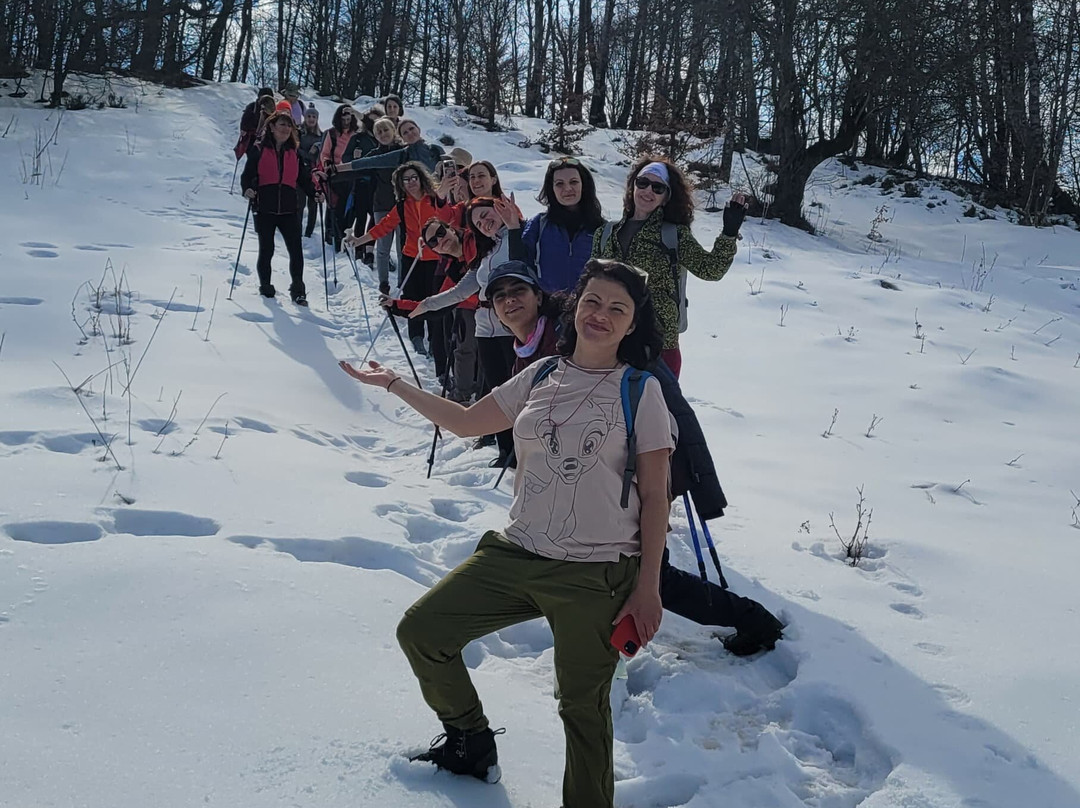 Sibiu Guide Nico-锡比乌必去景点