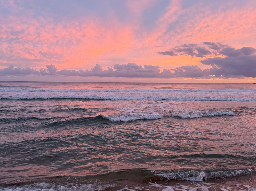 Kauai Roof Top Campers-阿那荷拉必去景点
