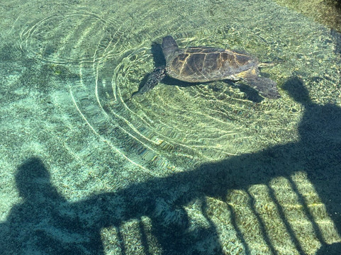 Florida Oceanographic Coastal Center-斯图尔特必去景点