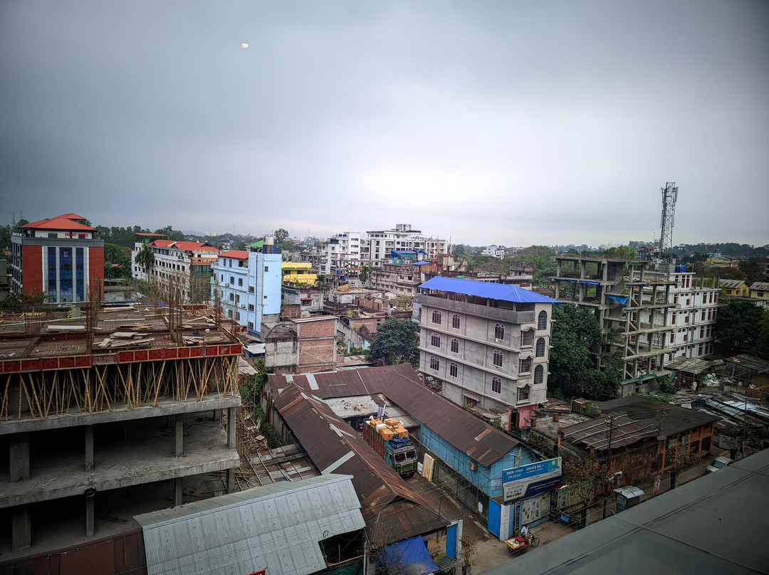 Cygnett殿大旅馆主图